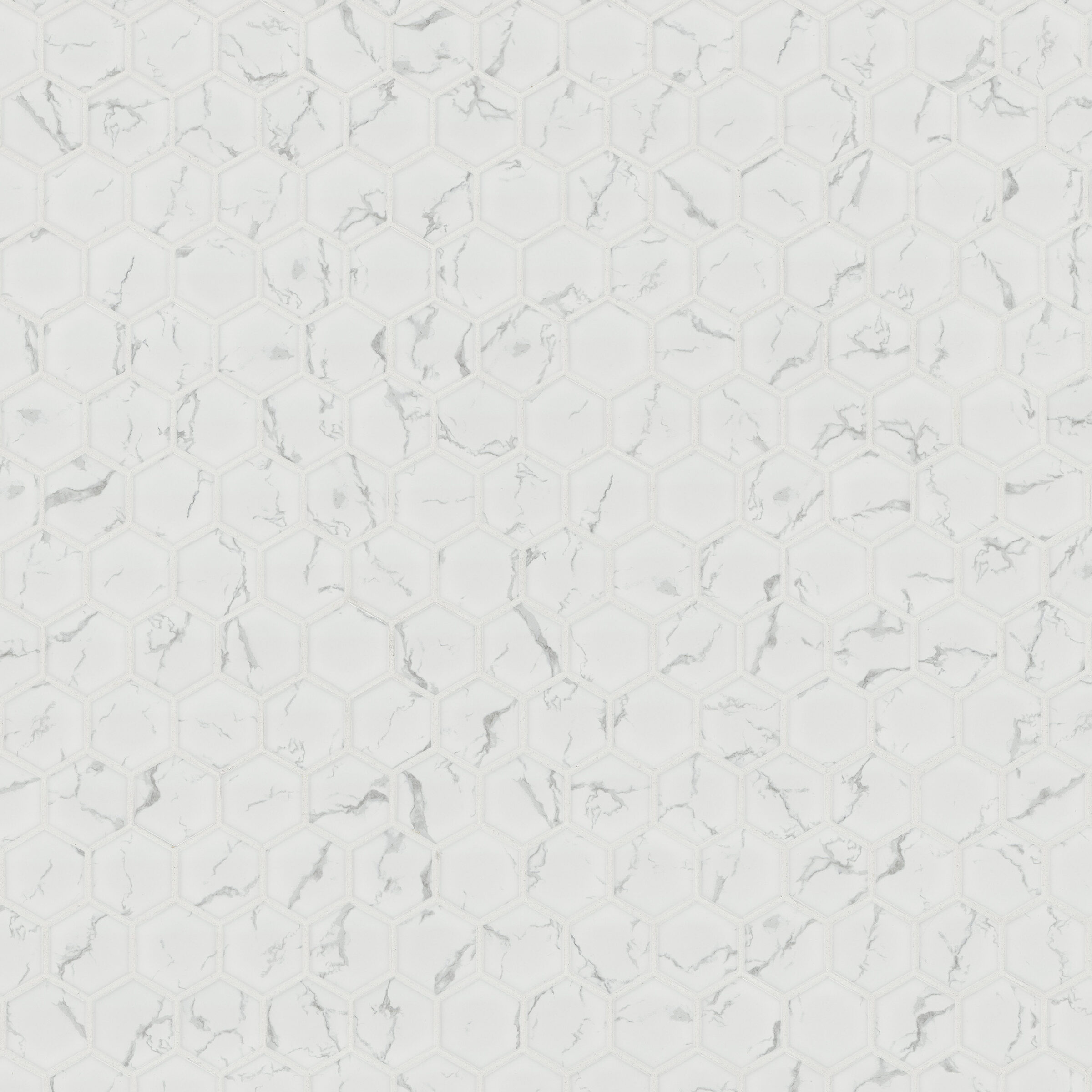 Carrara Matte 2" Hexagon surface detail — view 2