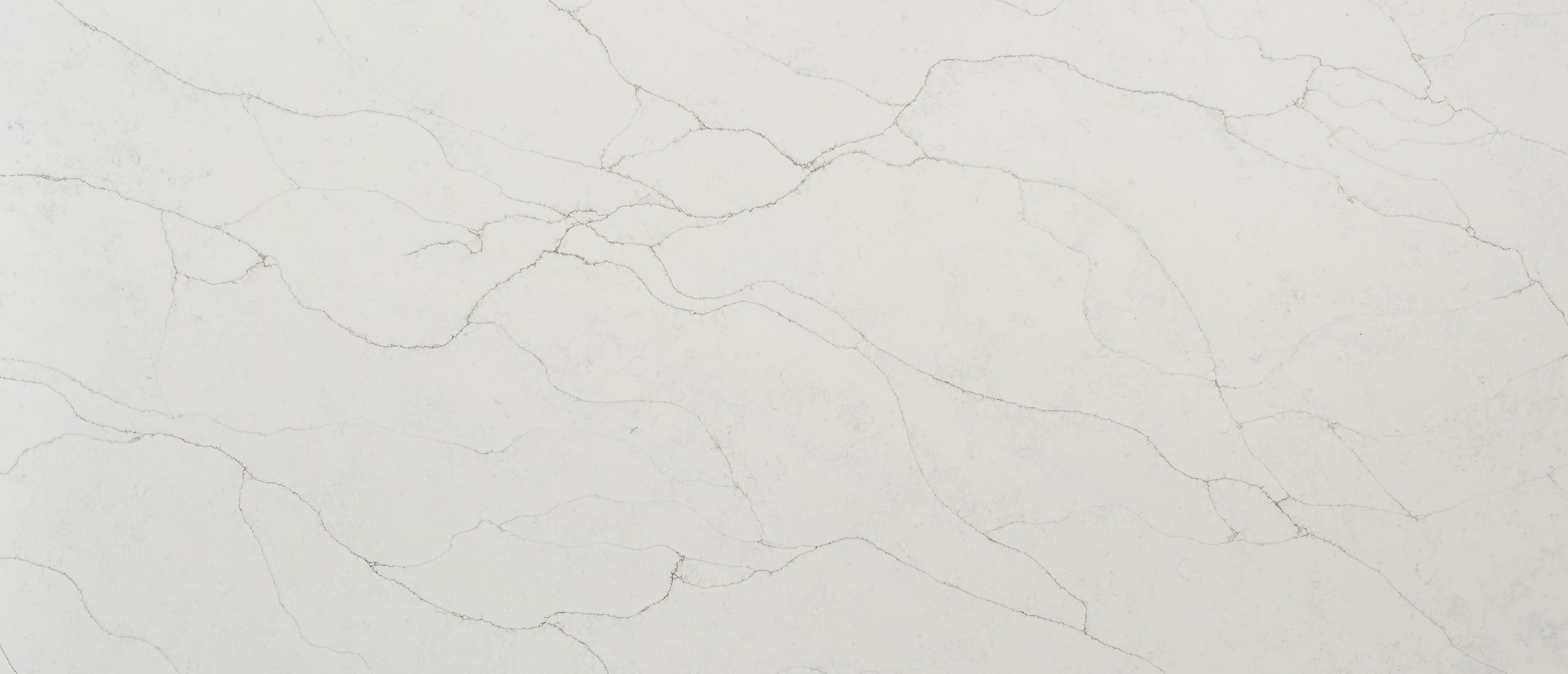 Calacatta Prado Quartz