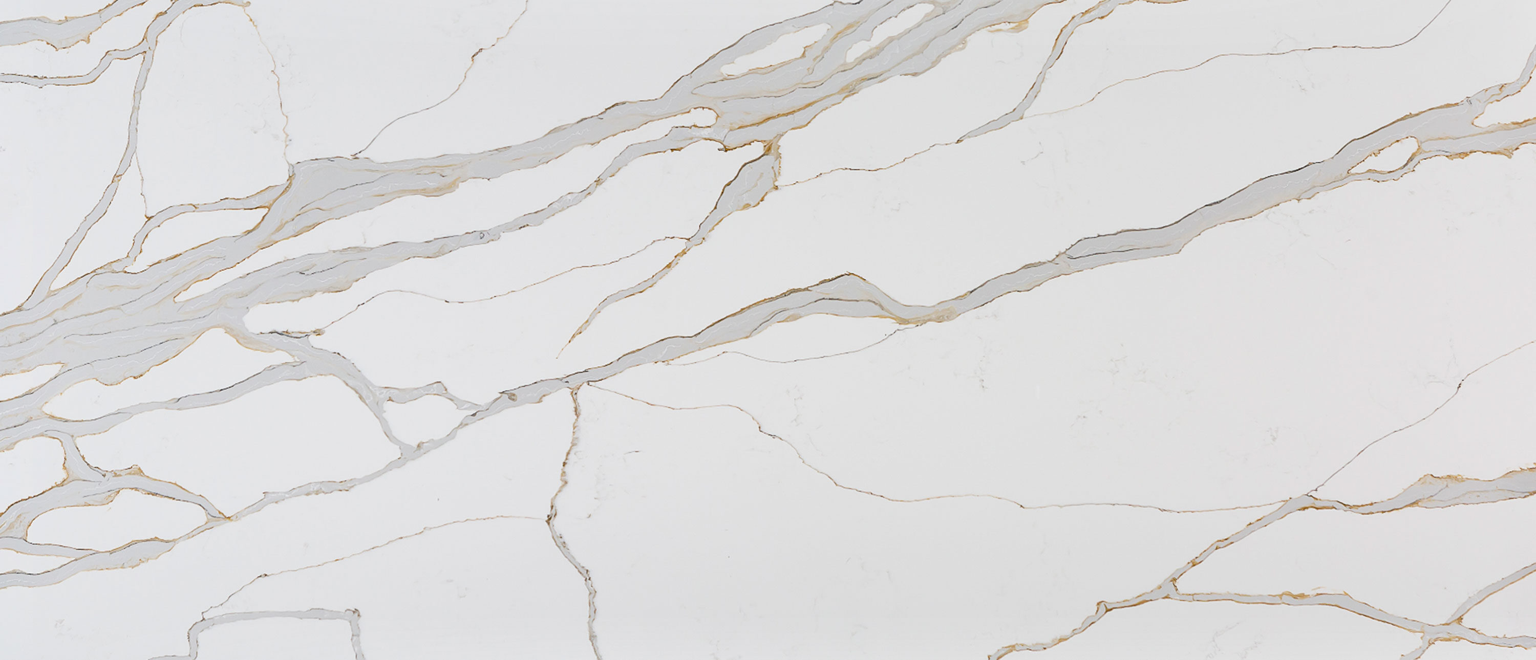 Calacatta Solessio Quartz