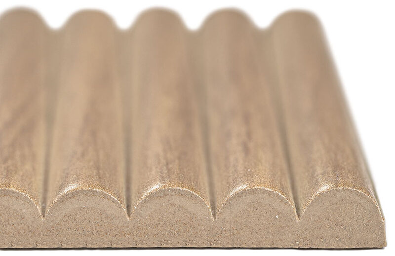 camel surface detail
