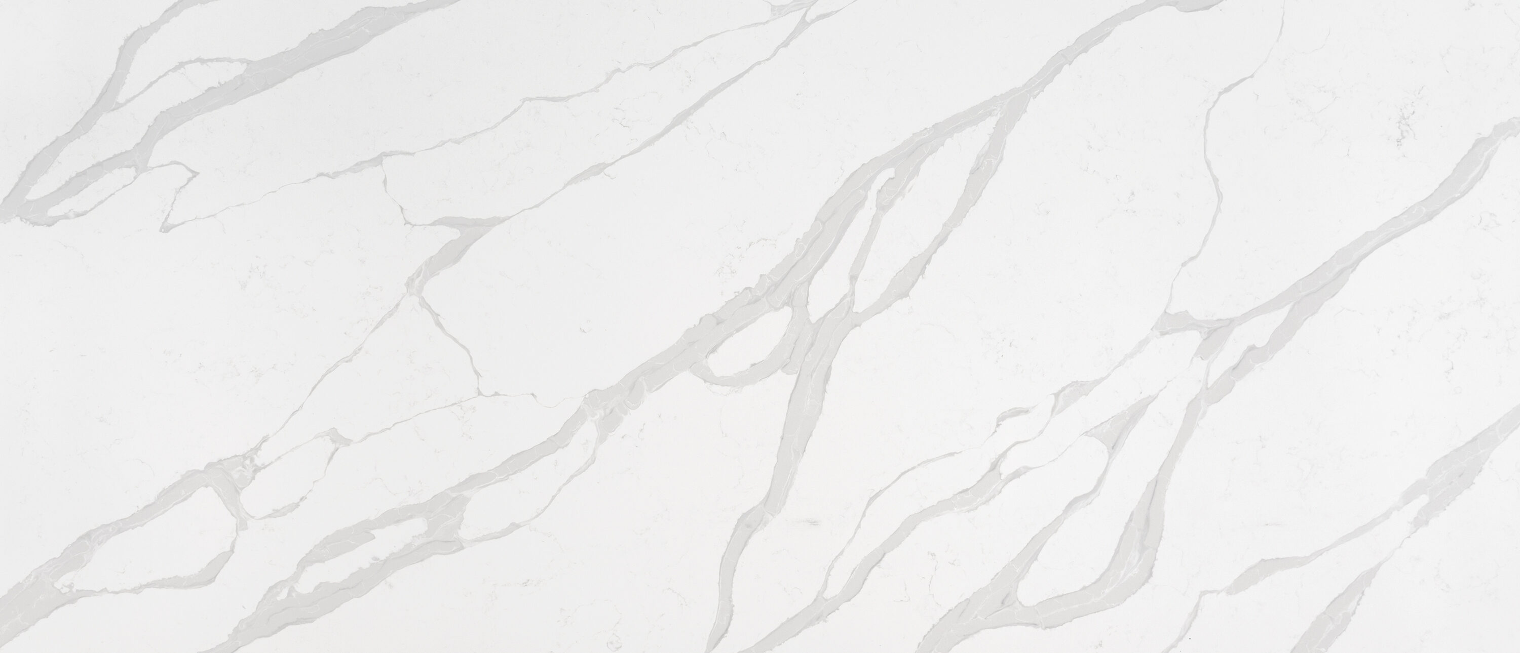 Calacatta Luccia Quartz
