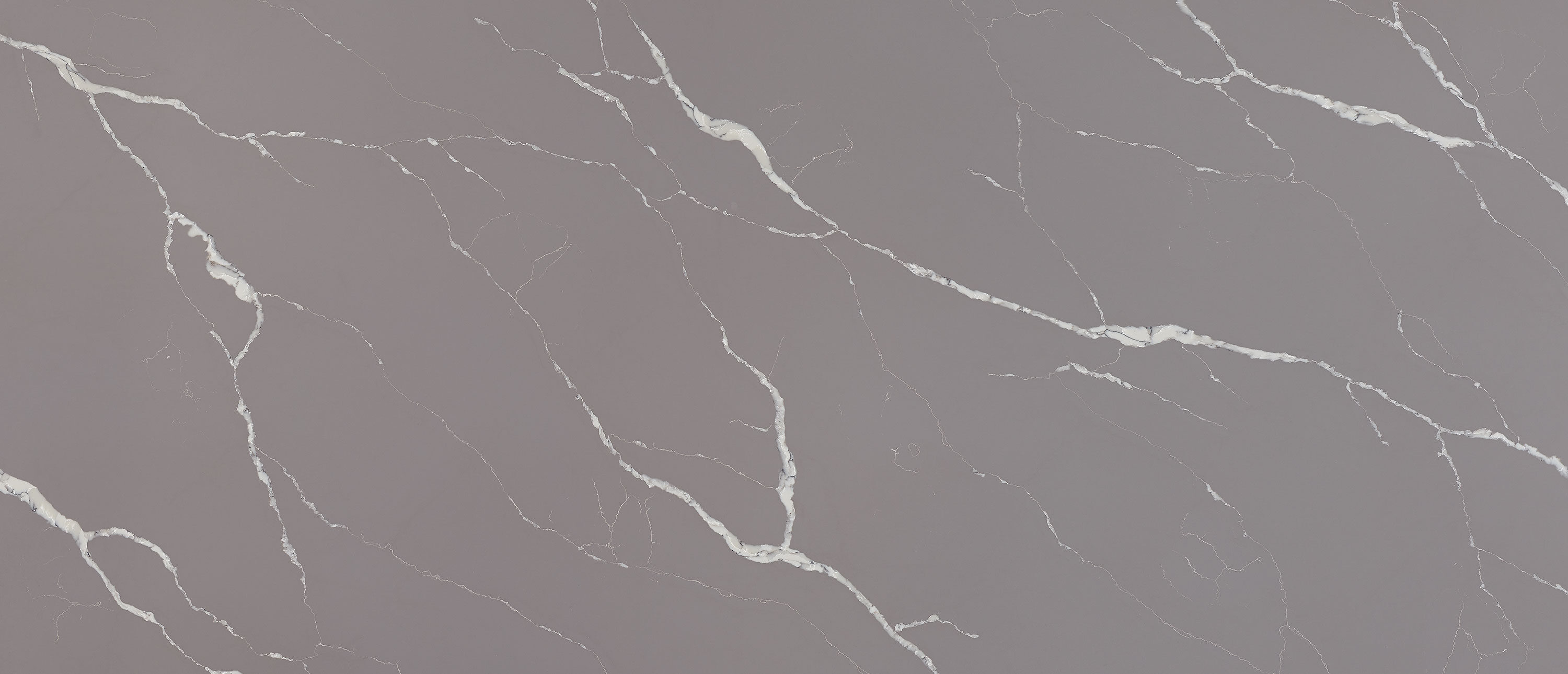 Calacatta Laza Grigio Quartz