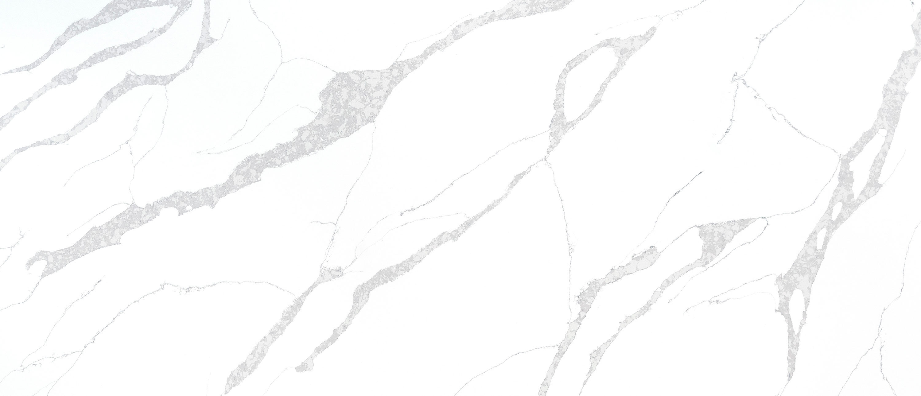 Calacatta Leon Quartz