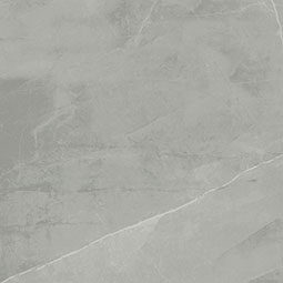 Grey color swatch