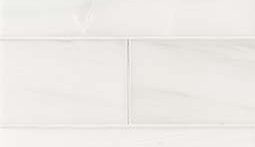 Bianco Dolomite Polished Subway Tile 4x12 color swatch