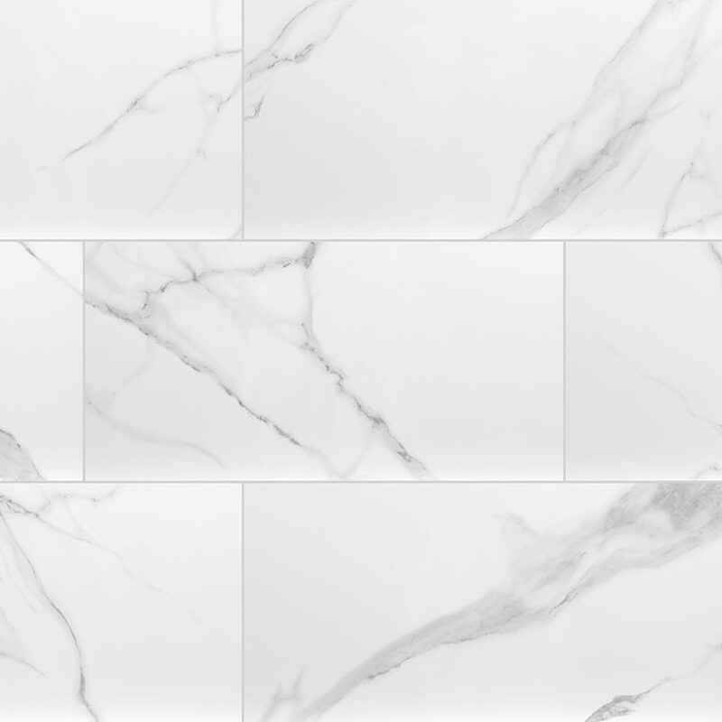 Dymo Statuary 12x24 Glossy Large Format Tile tile, full view