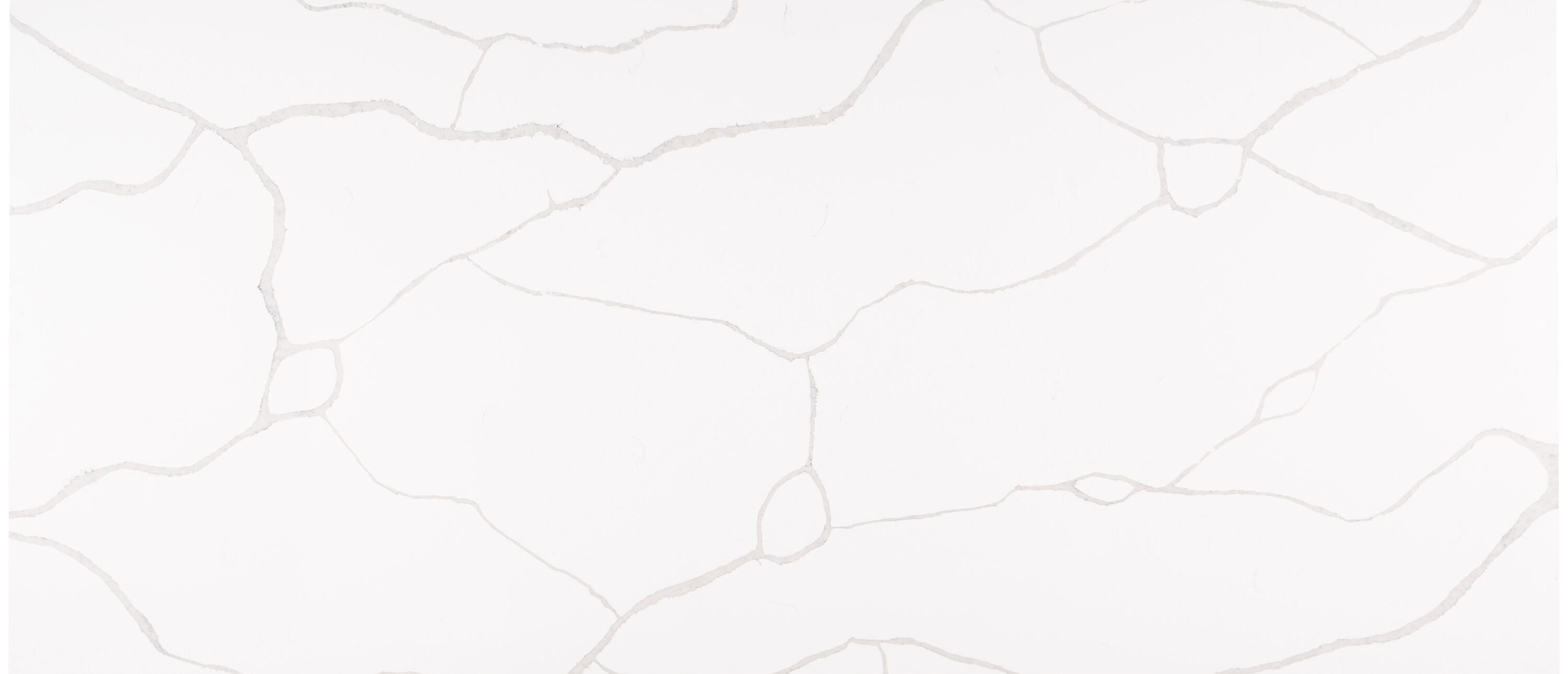 Calacatta Classique Quartz