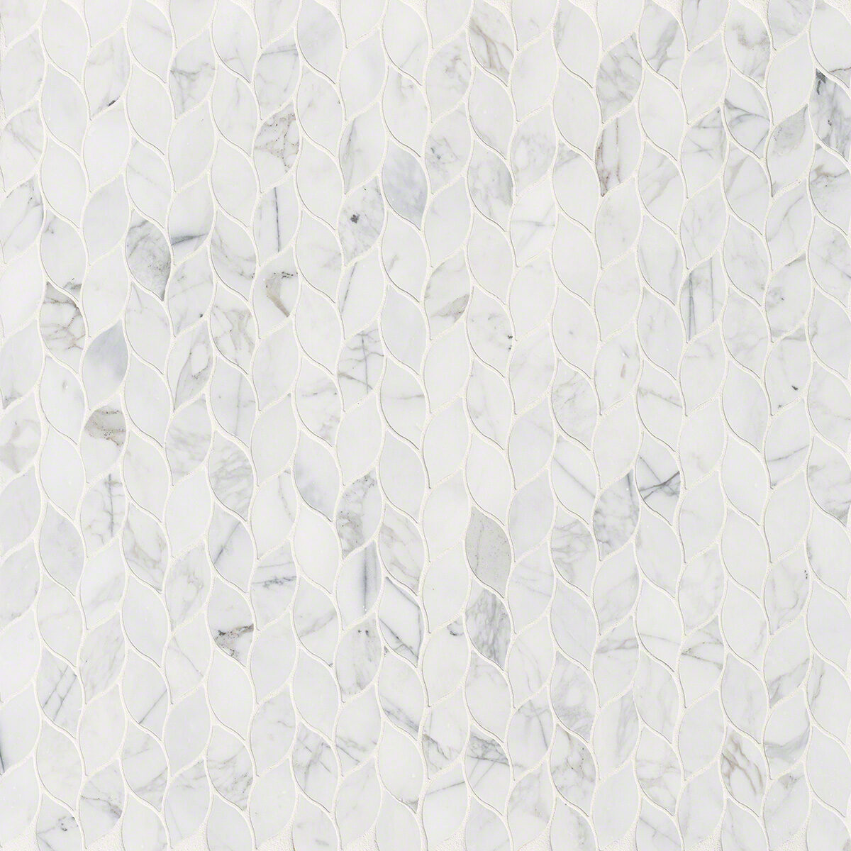 Calacatta Blanco Pattern Polished surface detail
