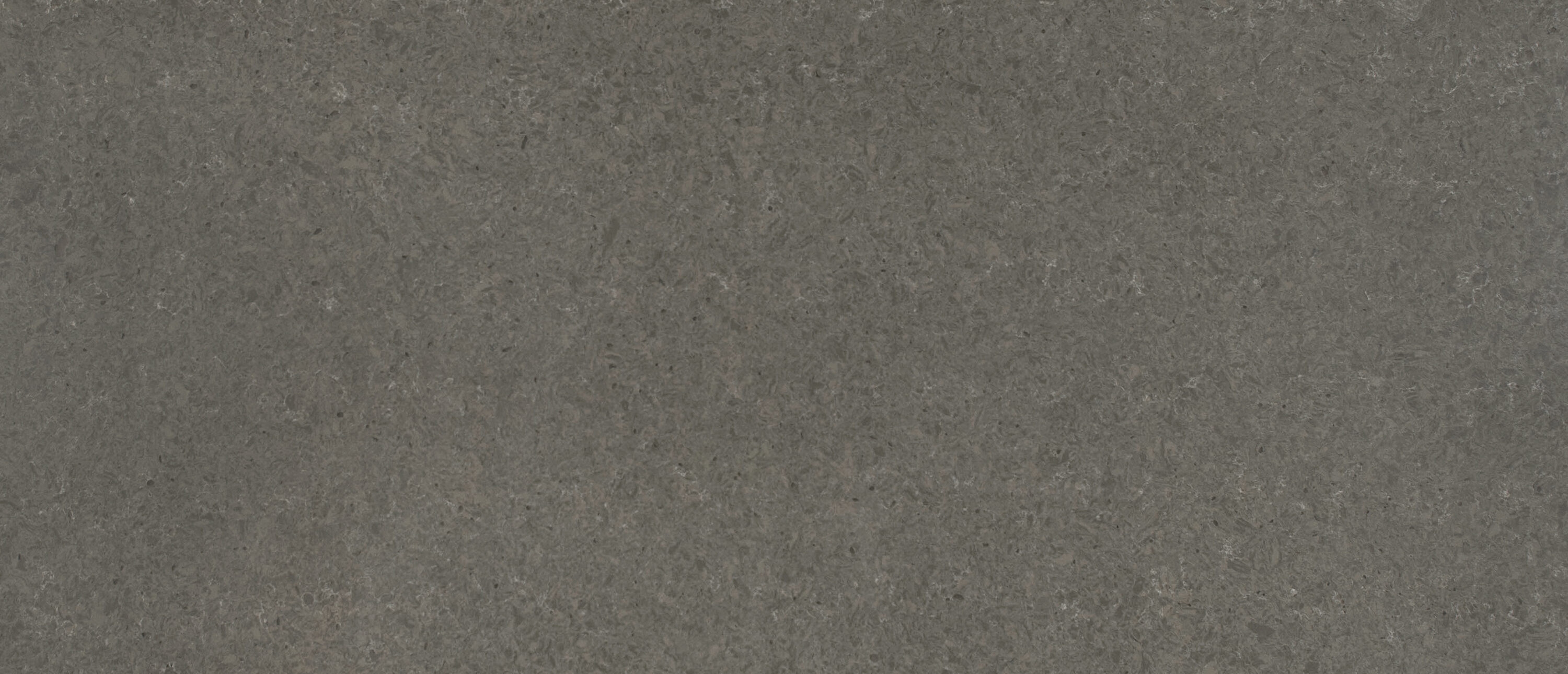 Babylon Gray®