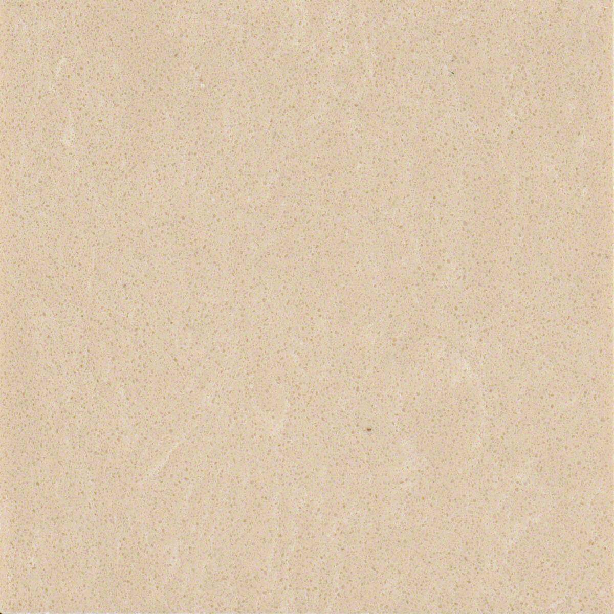 Champagne Limestone tile, full view