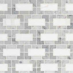 Bianco Dolomite Lynx Polished color swatch