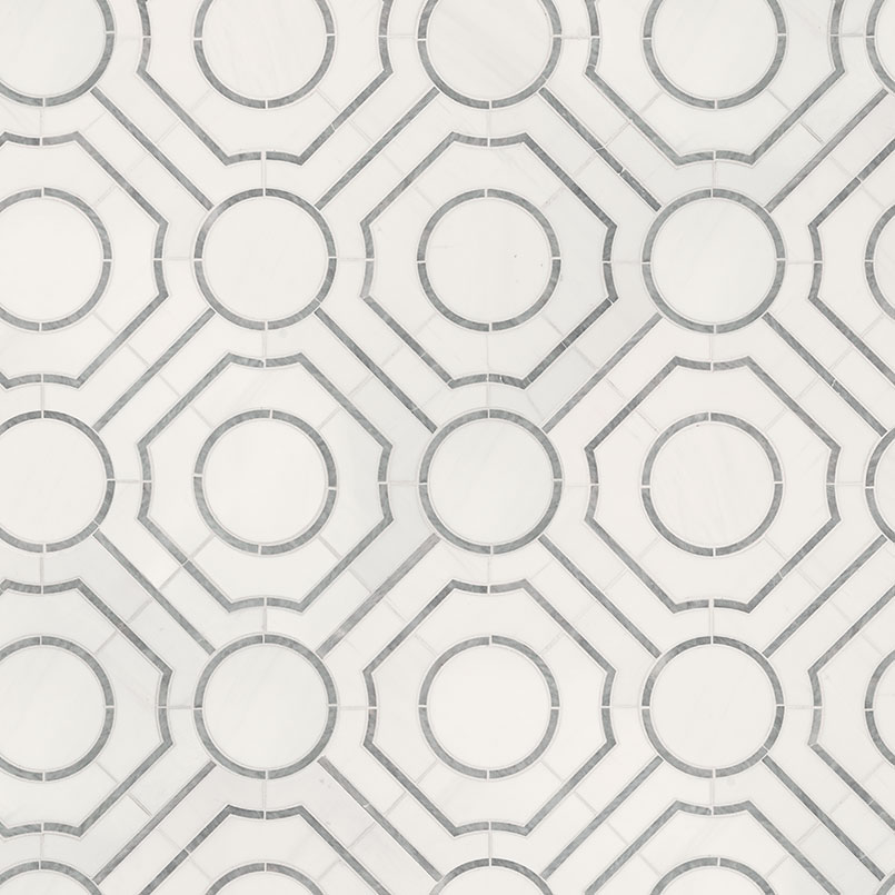 Bianco Dolomite Regency Polished Marble Tile surface detail — view 2