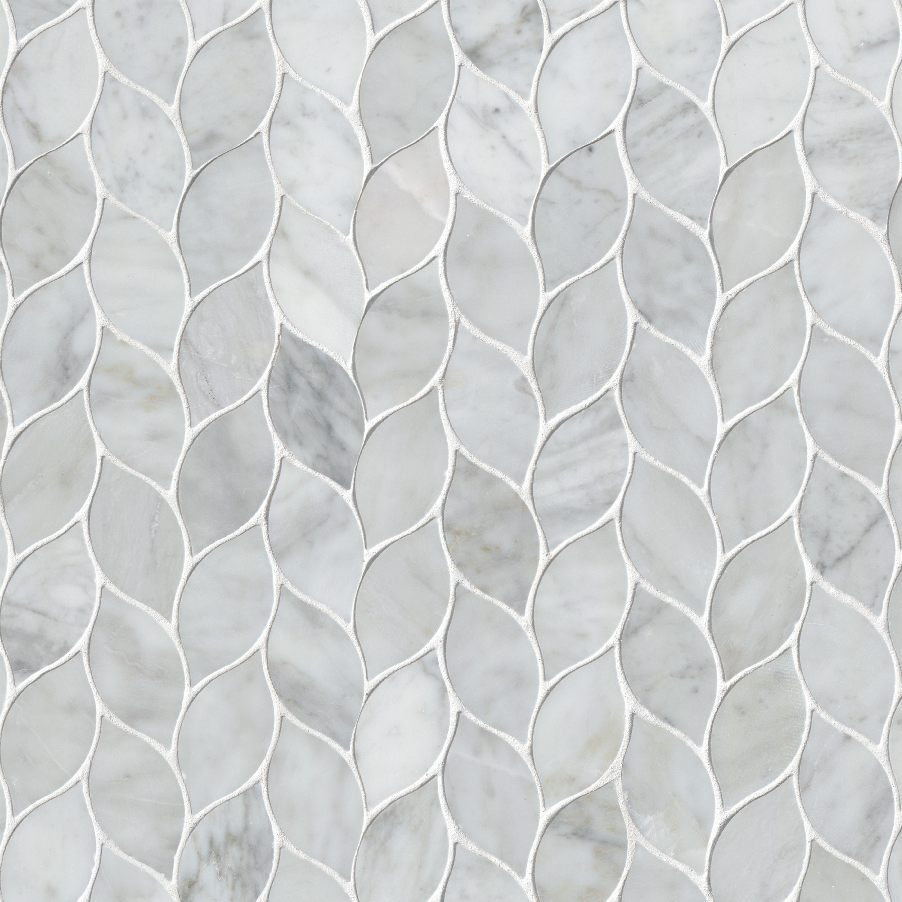 Carrara White Blanco Pattern Honed Tile tile, full view