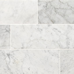 Carrara White 4x12 Honed Subway Tile color swatch