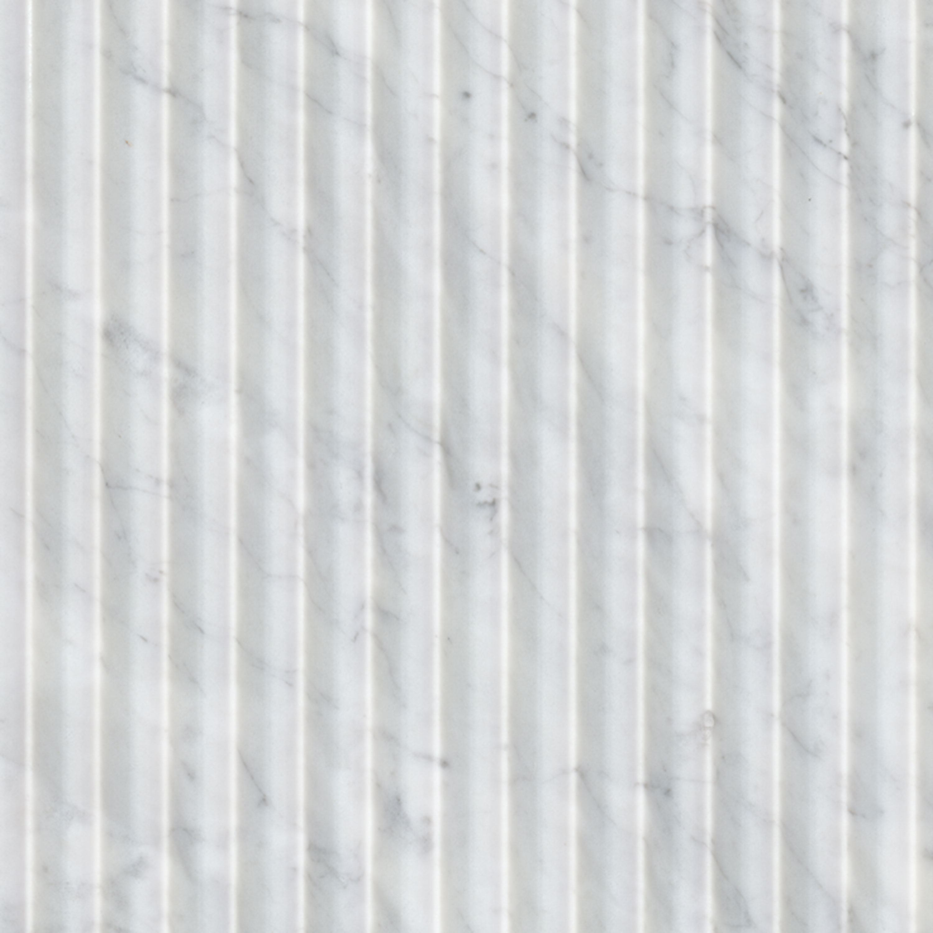 Carrara White Valentino Fluto 12x24 Honed Tile tile, full view