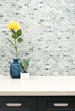 Carrara Classique Brick 1x2 Honed Tile — product photo — view 2