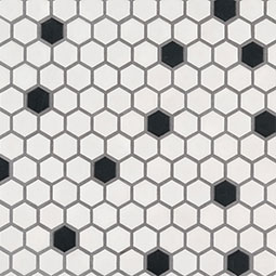 Black And White 1” Hexagon Mosaic Tile color swatch