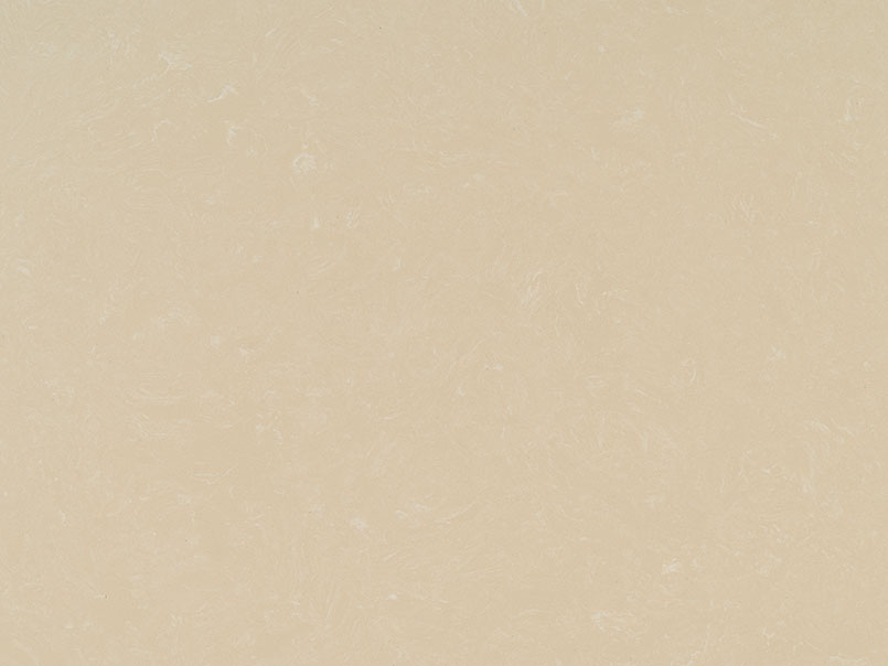 Champagne Limestone surface detail — view 2