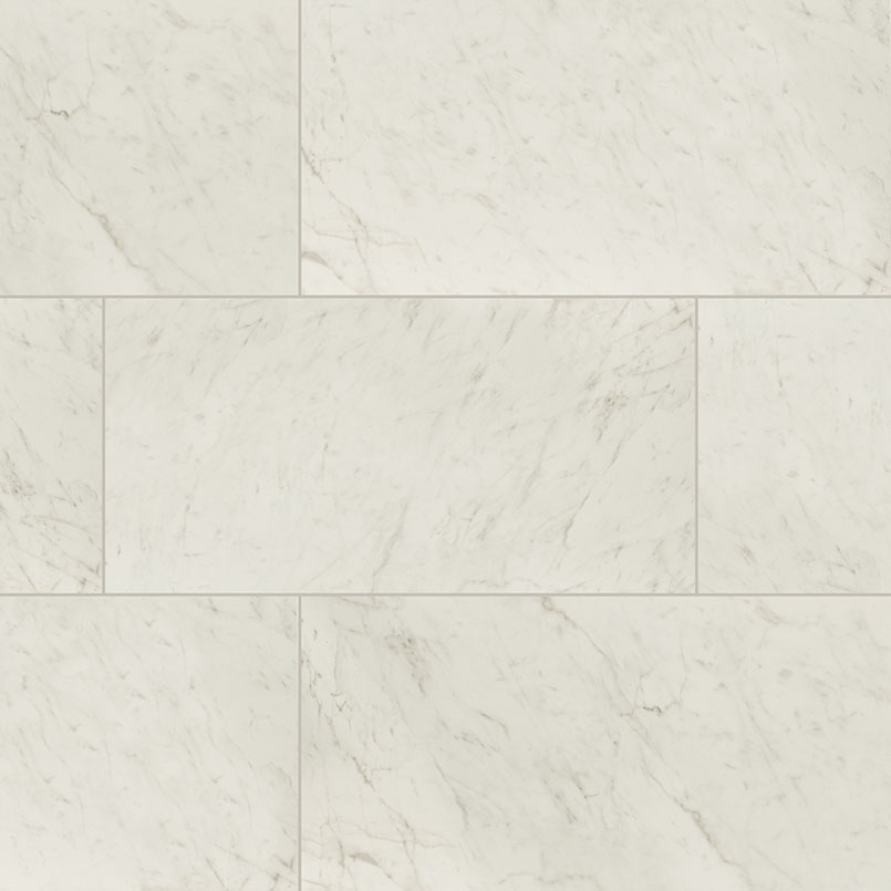 Carrara Bianco tile, full view