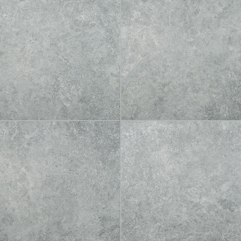 Lunar Silver tile, full view