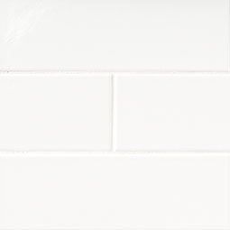 White 2x8 Glossy color swatch — view 7