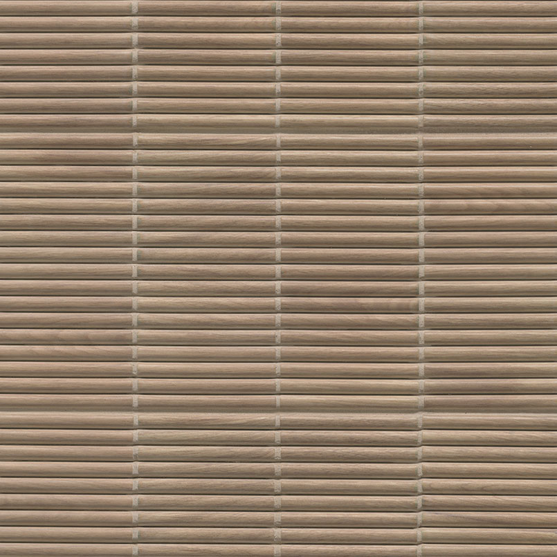 camel surface detail — view 2