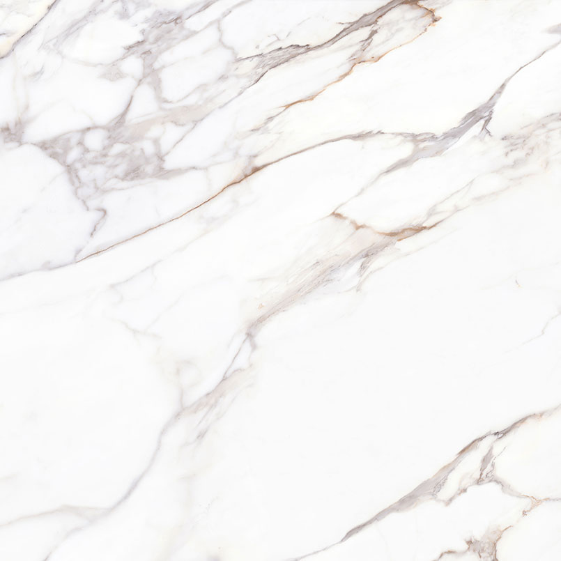 Calacatta Fiorella tile, full view