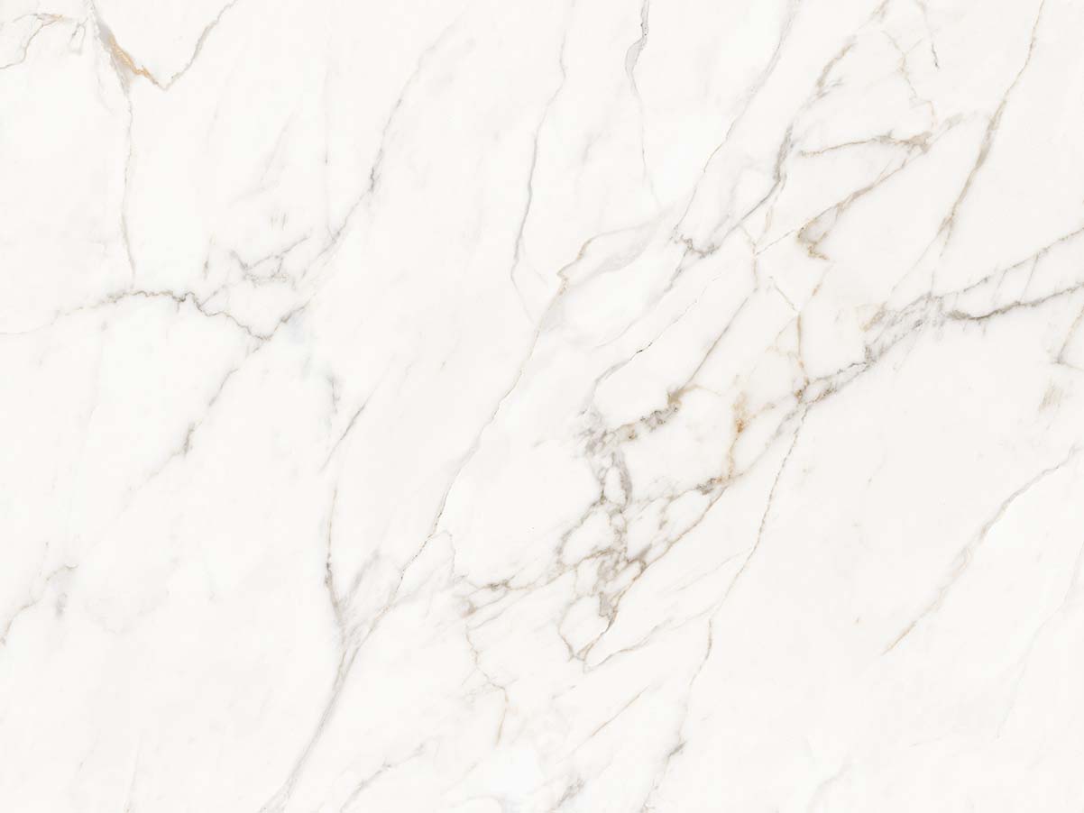 Calacatta Lucca surface detail — view 4