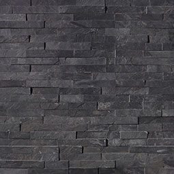 Premium Black color swatch